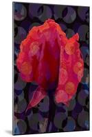 Tea Rose 3B-Scott J. Davis-Mounted Giclee Print