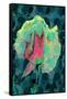 Tea Rose 4-Scott J. Davis-Framed Stretched Canvas
