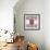 Tea rose-Viviane Fedieu Danielle-Framed Photographic Print displayed on a wall