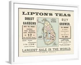 Tea Sale-The Vintage Collection-Framed Giclee Print