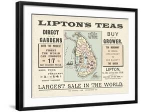 Tea Sale-The Vintage Collection-Framed Giclee Print