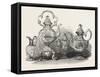 Tea Service of Californian Gold-null-Framed Stretched Canvas