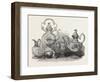 Tea Service of Californian Gold-null-Framed Giclee Print