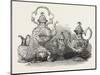 Tea Service of Californian Gold-null-Mounted Giclee Print