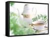 Tea Set with Green Leaves-null-Framed Stretched Canvas