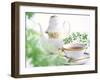 Tea Set with Green Leaves-null-Framed Photographic Print