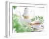 Tea Set with Green Leaves-null-Framed Photographic Print