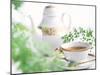 Tea Set with Green Leaves-null-Mounted Photographic Print