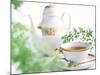 Tea Set with Green Leaves-null-Mounted Photographic Print