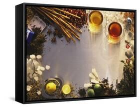 Tea, Tea Leaves, Spices, Sugar Crystals, Lemons and Limes-Peter Rees-Framed Stretched Canvas