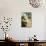 Tea Time Tease-Francesco Vinea-Mounted Giclee Print displayed on a wall