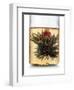 Tea-Fabio Petroni-Framed Photographic Print