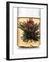 Tea-Fabio Petroni-Framed Photographic Print