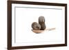 Tea-Fabio Petroni-Framed Photographic Print