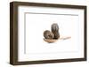 Tea-Fabio Petroni-Framed Photographic Print