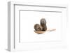 Tea-Fabio Petroni-Framed Photographic Print