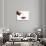 Tea-Fabio Petroni-Photographic Print displayed on a wall