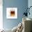 Tea-Fabio Petroni-Photographic Print displayed on a wall