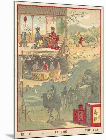 Tea-null-Mounted Giclee Print