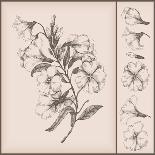 Vintage Flower Drawing-teacept-Art Print