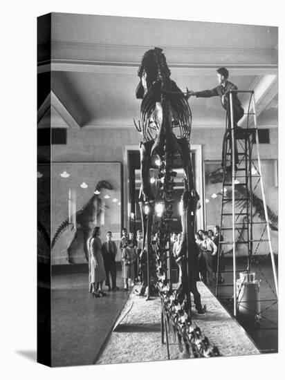 Teacher Introducing a Tyrannosaur Rex to Her Class While a Museum Attendant Cleans the Bones-Jack Birns-Stretched Canvas