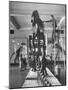 Teacher Introducing a Tyrannosaur Rex to Her Class While a Museum Attendant Cleans the Bones-Jack Birns-Mounted Photographic Print