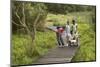 Teacher Showing Something to Children during Nature Field Trip-Nosnibor137-Mounted Photographic Print