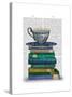 Teacup and Books-Fab Funky-Stretched Canvas