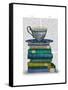 Teacup and Books-Fab Funky-Framed Stretched Canvas