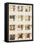Teacups II-Anna Polanski-Framed Stretched Canvas