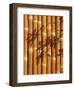 Teahouse Gate 2-Jenny Kraft-Framed Art Print