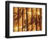 Teahouse Gate 4-Jenny Kraft-Framed Art Print