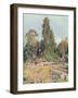 Teak Loaded at Kokogon-R. Talbot Kelly-Framed Art Print