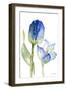 Teal and Lavender Tulips I-Lanie Loreth-Framed Art Print