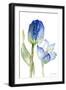 Teal and Lavender Tulips I-Lanie Loreth-Framed Art Print