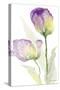 Teal and Lavender Tulips II-Lanie Loreth-Stretched Canvas