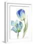 Teal and Lavender Tulips III-Lanie Loreth-Framed Art Print