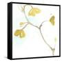 Teal and Ochre Ginko II-June Vess-Framed Stretched Canvas