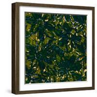 Teal Batik I-Baxter Mill Archive-Framed Art Print