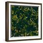 Teal Batik I-Baxter Mill Archive-Framed Art Print