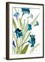 Teal Belles II-Lanie Loreth-Framed Art Print