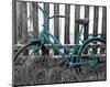 Teal Bike I-null-Mounted Art Print