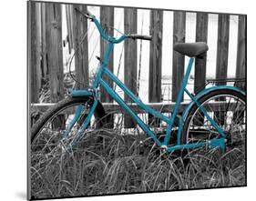 Teal Bike I-null-Mounted Art Print