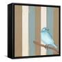 Teal Bird With Stripes-Tammy Kushnir-Framed Stretched Canvas