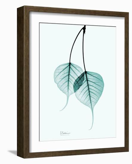 Teal Bodhi Tree-Albert Koetsier-Framed Art Print