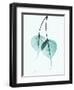 Teal Bodhi Tree-Albert Koetsier-Framed Art Print