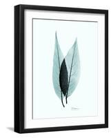 Teal Caplulin Cherry-Albert Koetsier-Framed Art Print