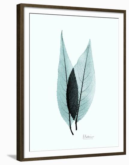 Teal Caplulin Cherry-Albert Koetsier-Framed Art Print