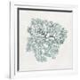 Teal Coral I-Aimee Wilson-Framed Premium Giclee Print