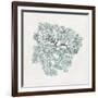 Teal Coral I-Aimee Wilson-Framed Premium Giclee Print